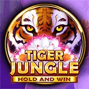 Nền tảng cá cược an toàn và uy tín của 33win4 win